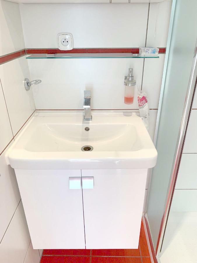 Krasny Apartman U Lesa, Trolejbus Do Centra A Bvv, Parkovani Zdarma Бърно Екстериор снимка